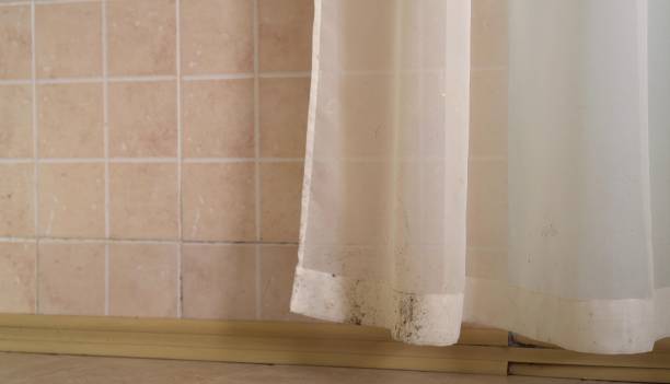 Best Indoor Air Quality Assessment  in Keyes, CA