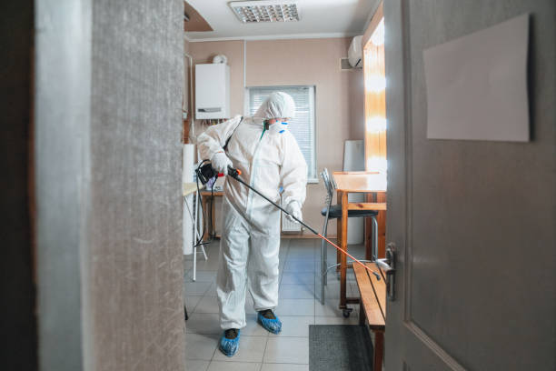 Best Basement Mold Removal  in Keyes, CA