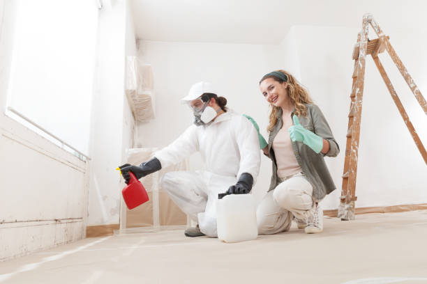 Best Mold Removal for HVAC Installations  in Keyes, CA