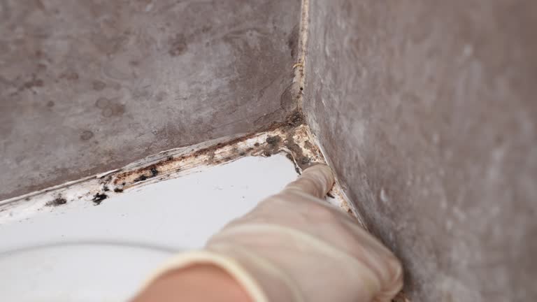 Best Post-Remediation Verification Testing  in Keyes, CA